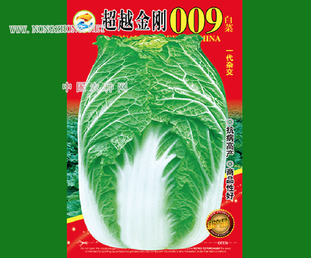 金刚009